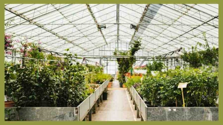 Acrylic for Greenhouse