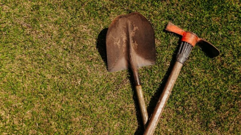 DIY Lawn Care Mistakes That Could Be Costing UK Gardens Big Time DIY Lawn Care