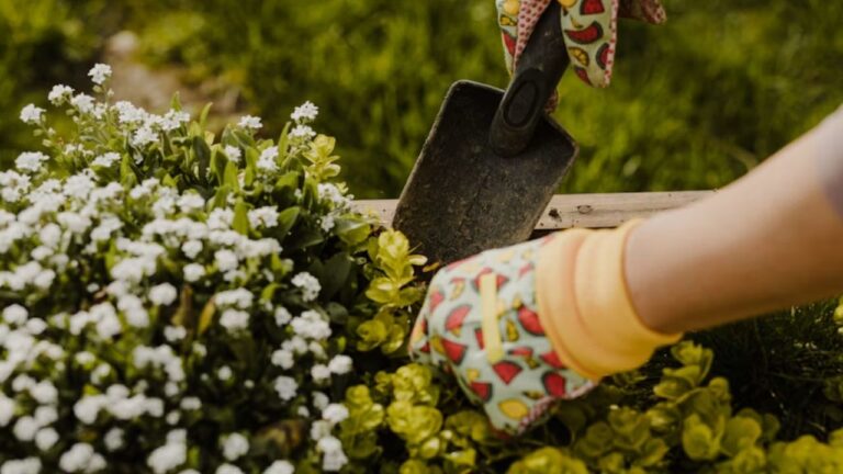 Fall Garden Care