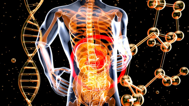 A Practical Guide to Dietary Fiber and Everyday Digestive Health
